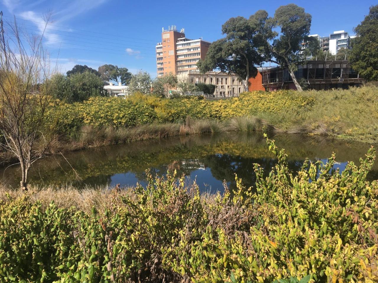 Adelaide Style Accommodation-Close To City-North Adelaide-3 Bdrm- Free Parking エクステリア 写真